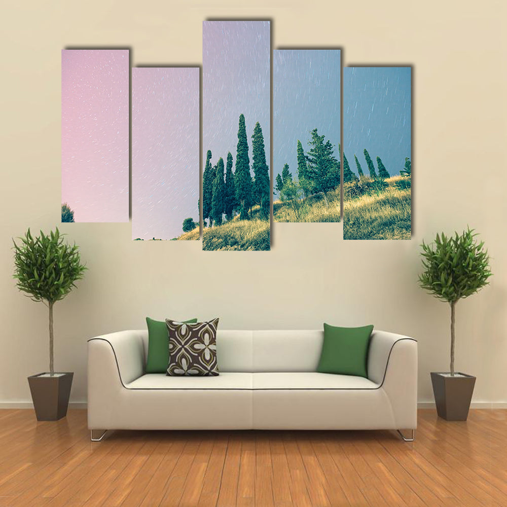 Stars in a Pinky Sky Multi Panel Canvas Wall Art Set Multi Panel Canvas Wall Art