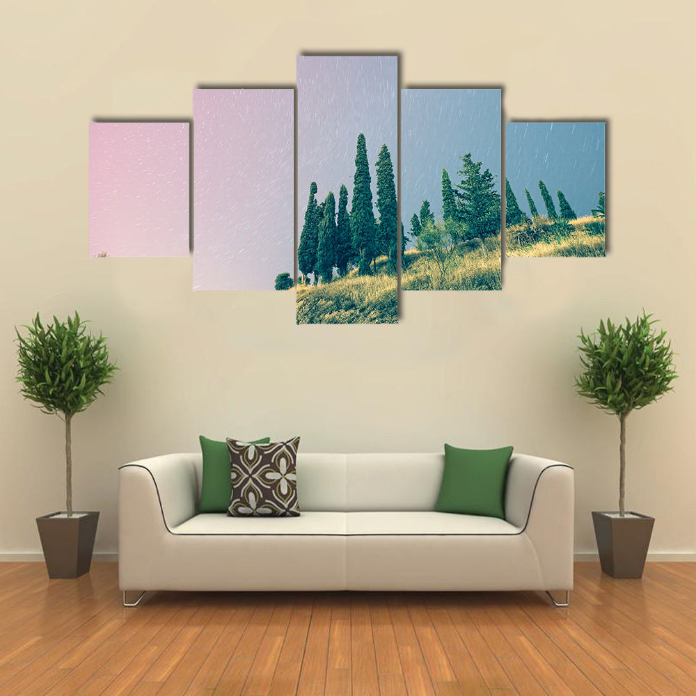 Stars in a Pinky Sky Multi Panel Canvas Wall Art Set Multi Panel Canvas Wall Art