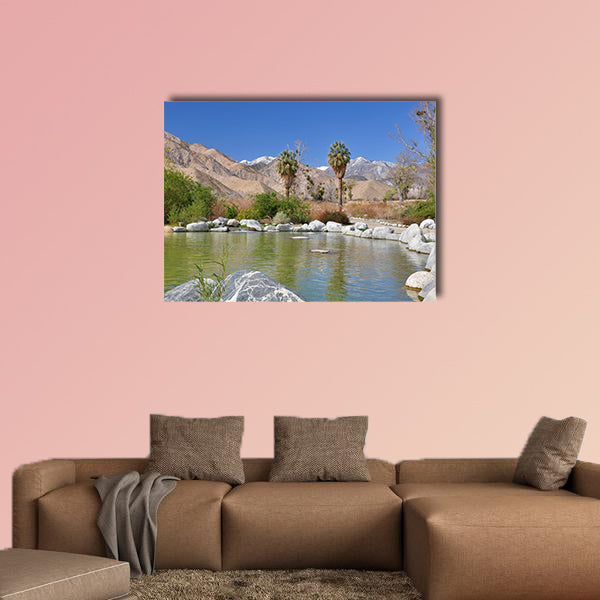 View of a desert oasis in Whitewater Canyon near Palm Springs wall art