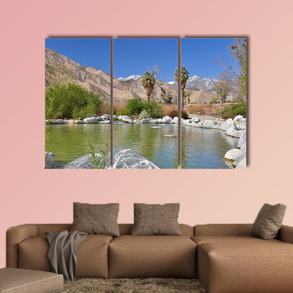 View of a desert oasis in Whitewater Canyon near Palm Springs wall art