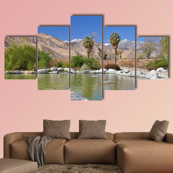 View of a desert oasis in Whitewater Canyon near Palm Springs wall art