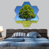 single tree at spring hexagonal canvas wall art