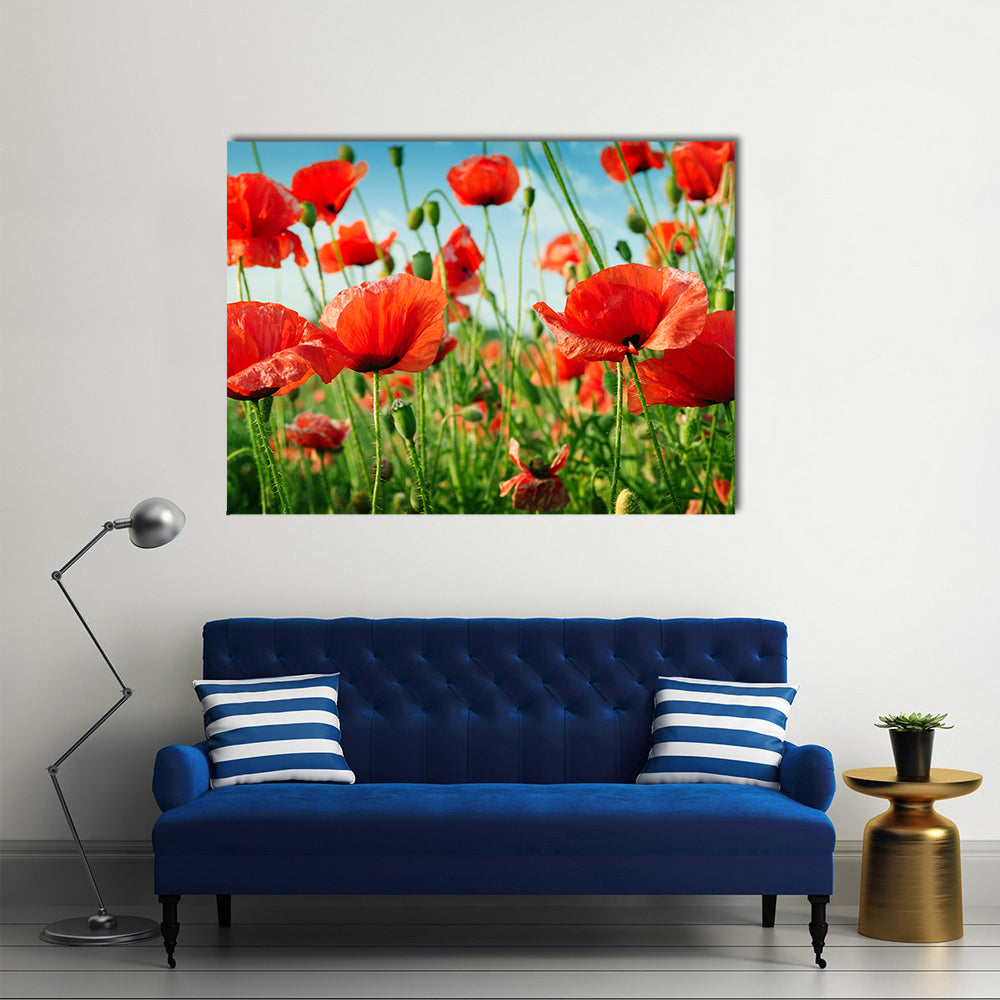 A Collection Of Poppies In The Green Grass, Multi Panel Canvas Wall Art