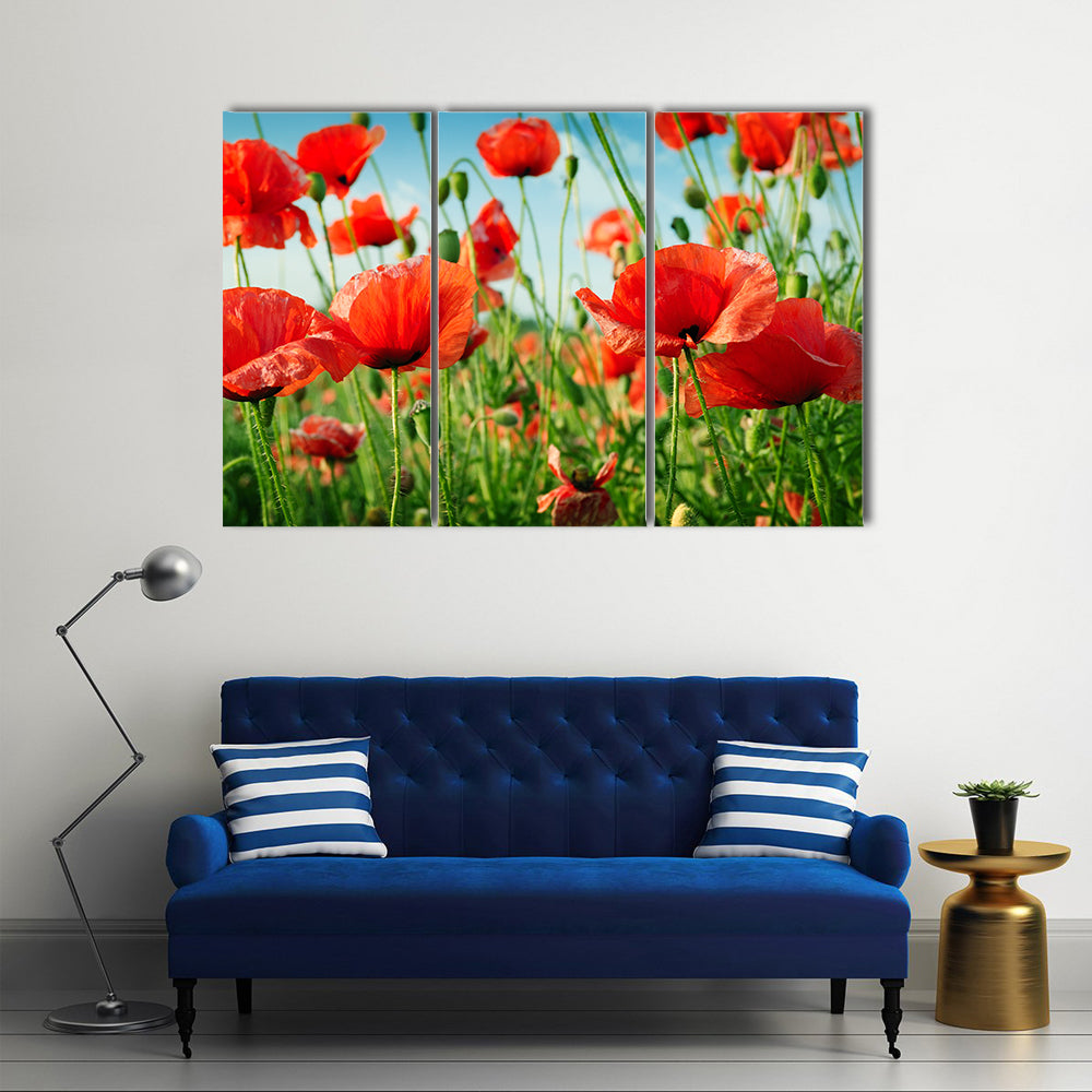 A Collection Of Poppies In The Green Grass, Multi Panel Canvas Wall Art
