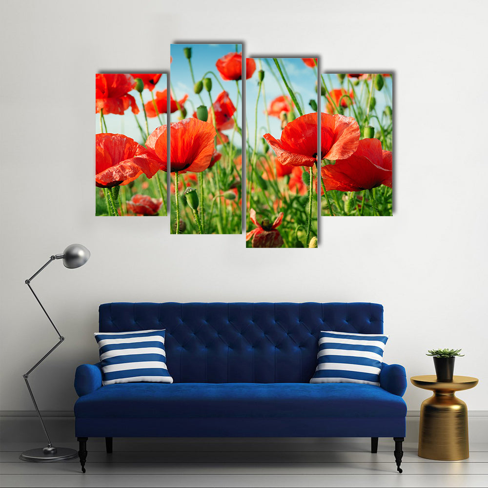A Collection Of Poppies In The Green Grass, Multi Panel Canvas Wall Art