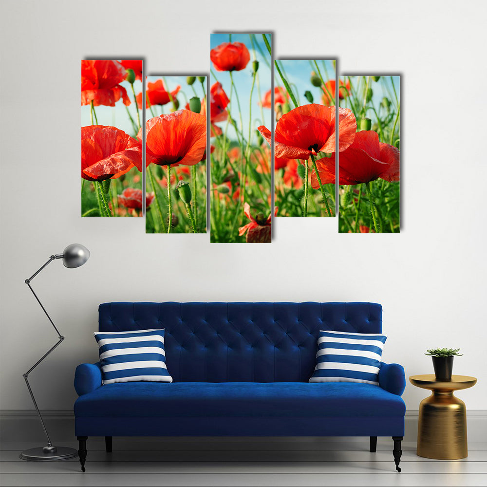 A Collection Of Poppies In The Green Grass, Multi Panel Canvas Wall Art