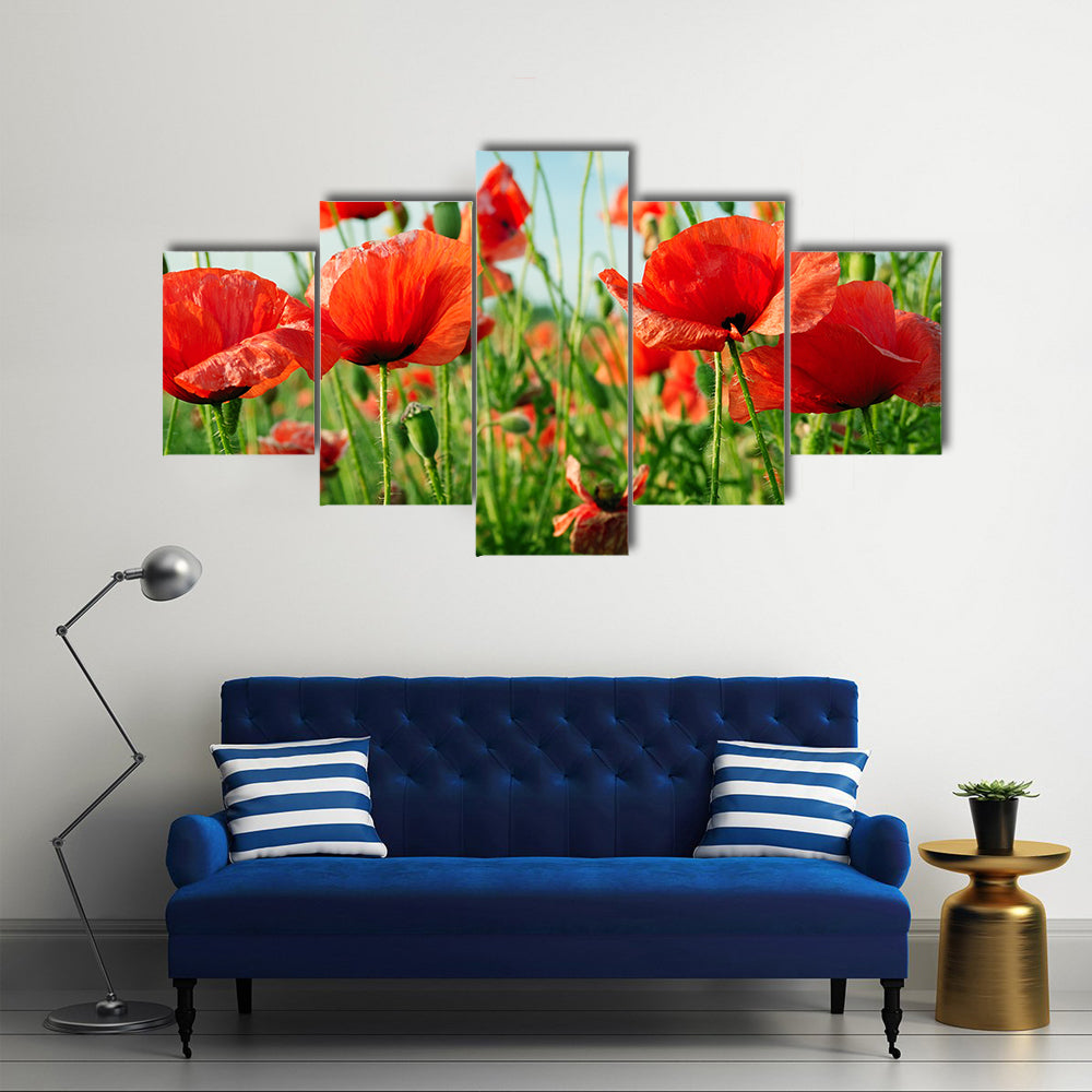 A Collection Of Poppies In The Green Grass, Multi Panel Canvas Wall Art