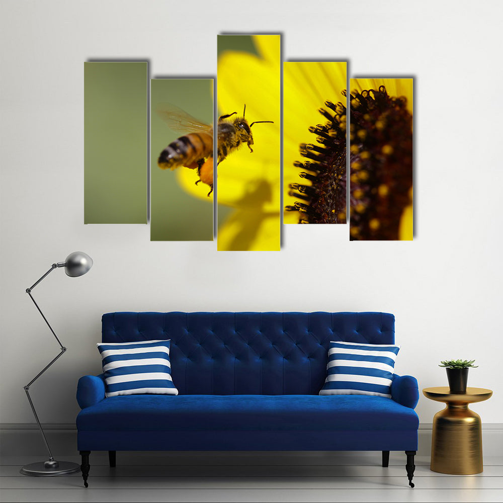 The Apis Mellifera, A Honeybee, On A Yellow Flower, Multi Panel Canvas Wall Art