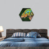 Ambilobe panther chameleon is sleeping on a branch hexagonal canvas wall art