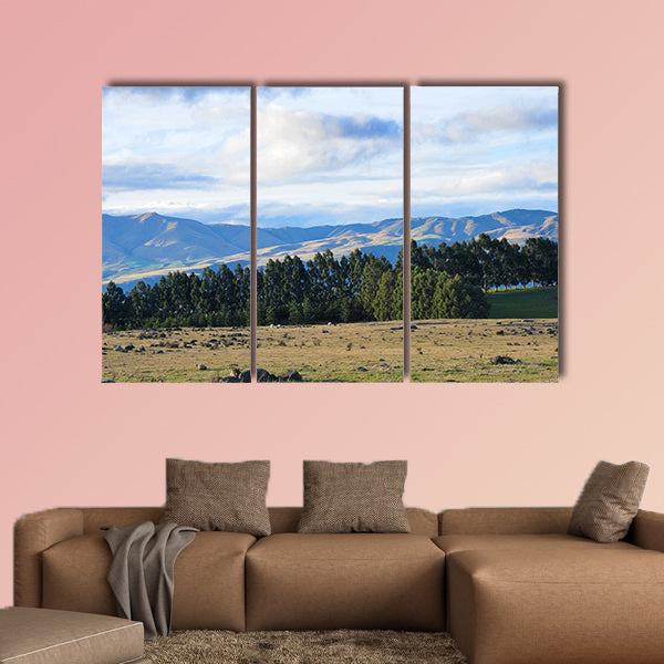 Waitaki Valley field and mountains in New Zealand Multi panel canvas wall art
