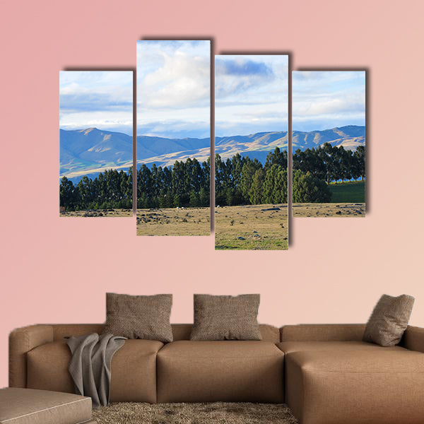 Waitaki Valley field and mountains in New Zealand Multi panel canvas wall art