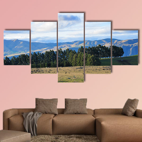Waitaki Valley field and mountains in New Zealand Multi panel canvas wall art
