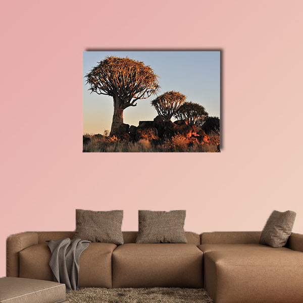 Sunrise at the Quiver Tree Forest near Keetmanshoop multi panel canvas wall art