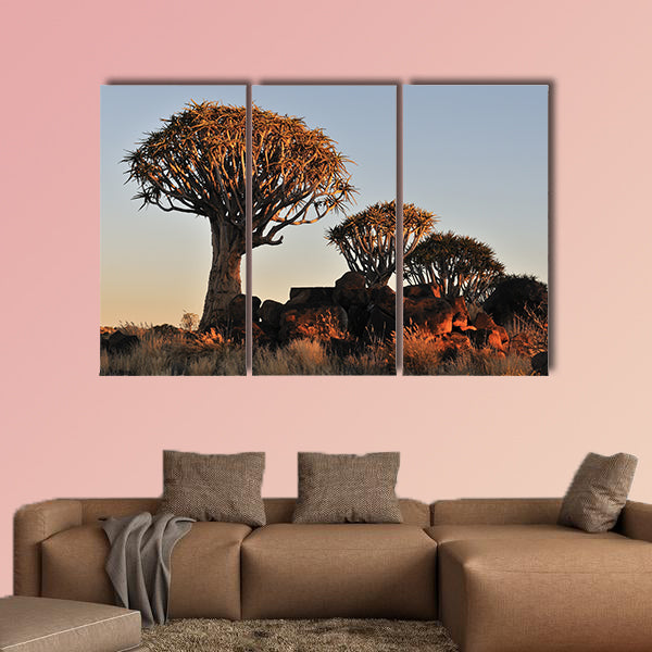 Sunrise at the Quiver Tree Forest near Keetmanshoop, Namibia multi panel canvas wall art