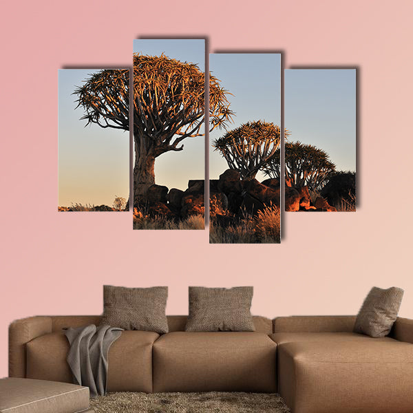 Sunrise at the Quiver Tree Forest near Keetmanshoop, Namibia multi panel canvas wall art