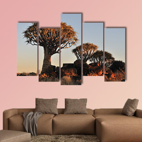 Sunrise at the Quiver Tree Forest near Keetmanshoop multi panel canvas wall art
