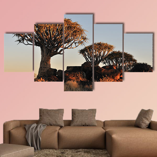 Sunrise at the Quiver Tree Forest near Keetmanshoop multi panel canvas wall art