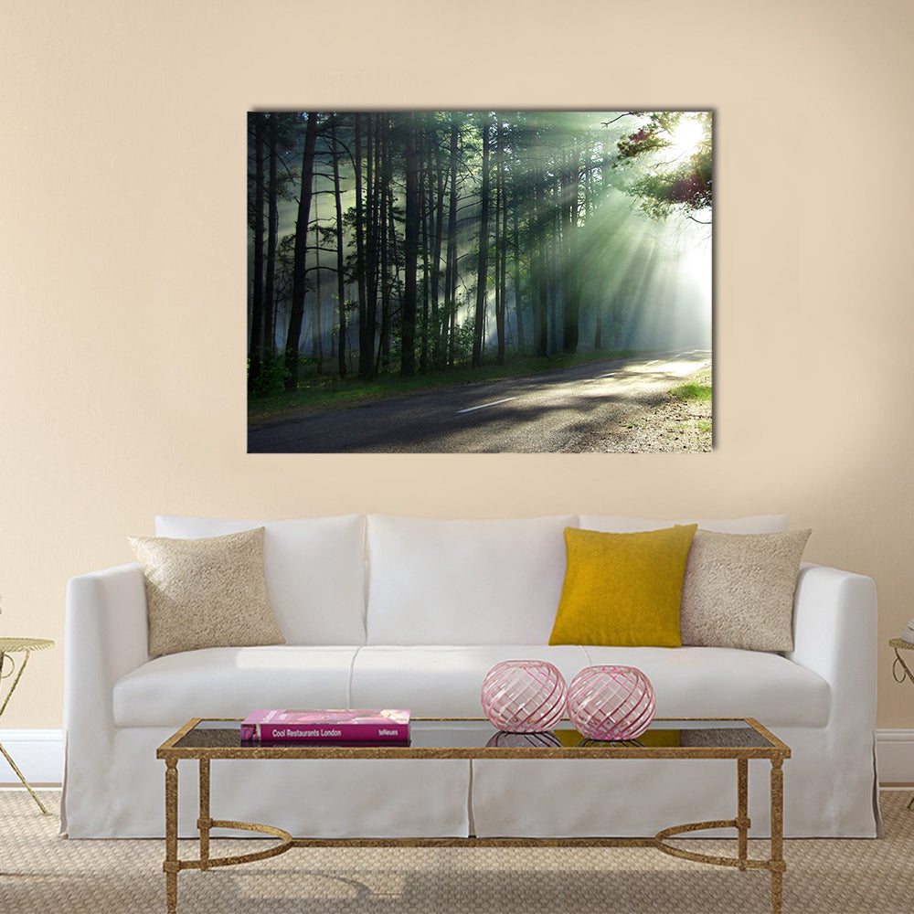 Magical forest in the morning sunlight rays  multi panel canvas wall art