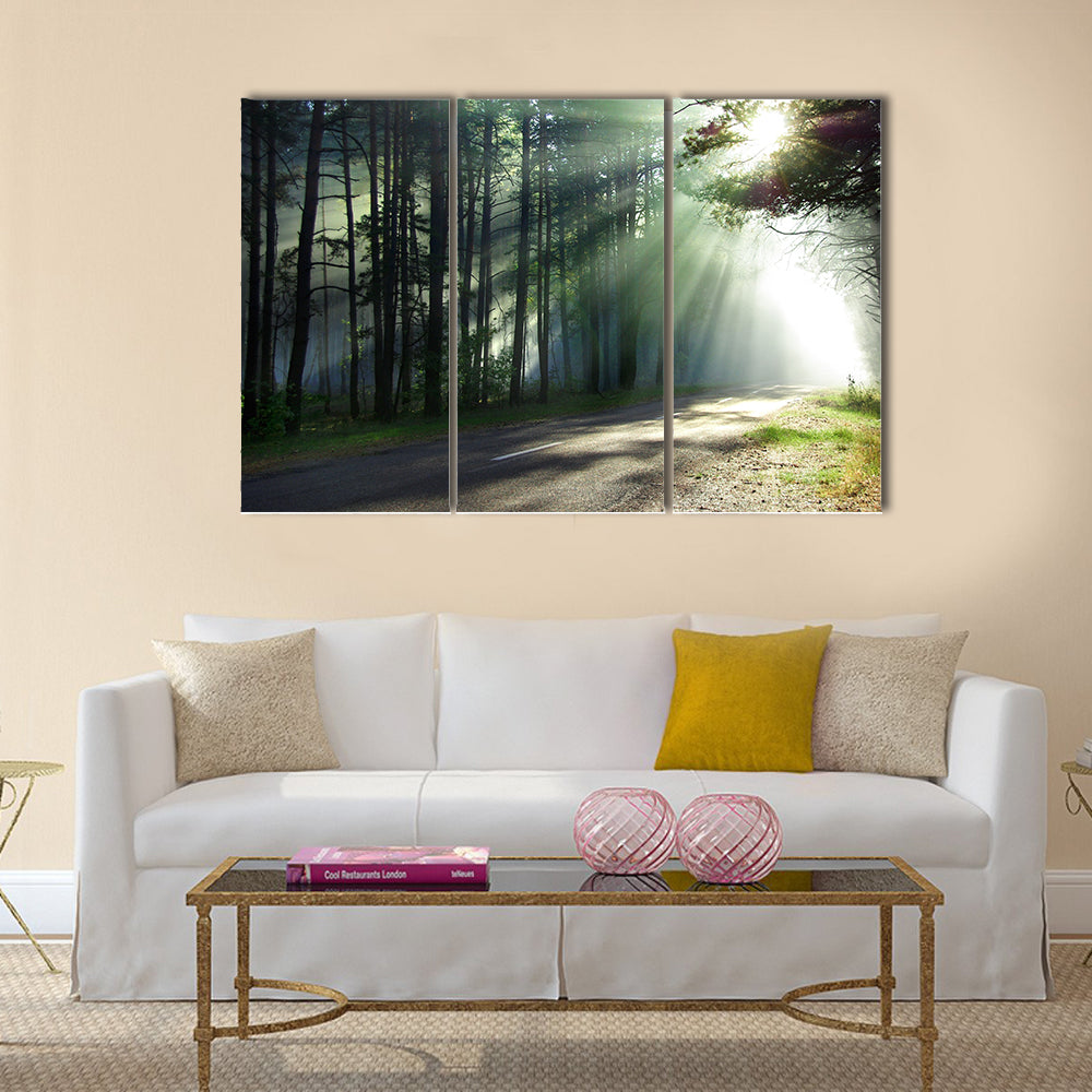 Magical forest in the morning sunlight rays  multi panel canvas wall art