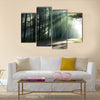 Magical forest in the morning sunlight rays  multi panel canvas wall art