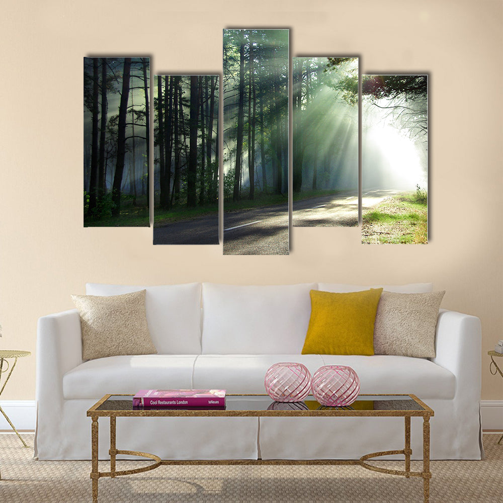 Magical forest in the morning sunlight rays  multi panel canvas wall art