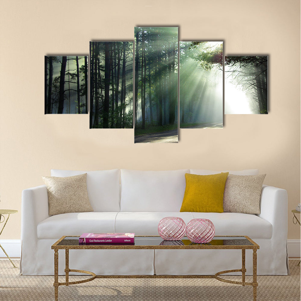 Magical forest in the morning sunlight rays  multi panel canvas wall art