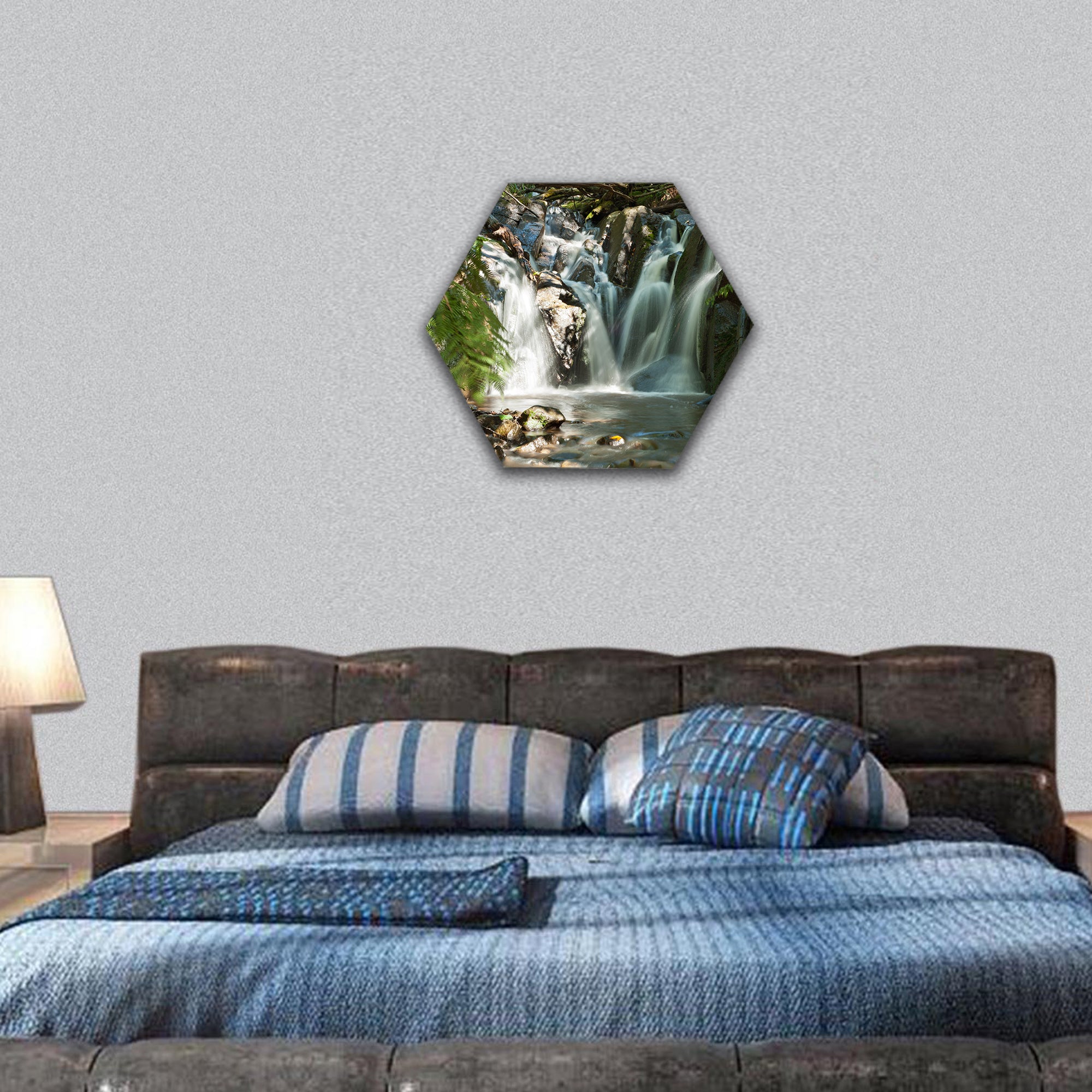 Dandenong Ranges, Olinda Falls, near Melbourne Australia hexagonal canvas wall art