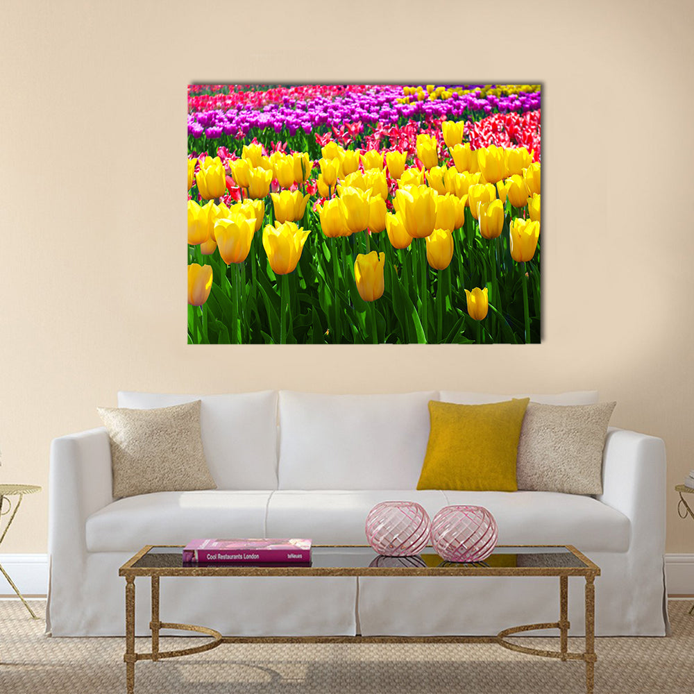Tulips field yellow flower background Multi Panel Canvas Wall Art