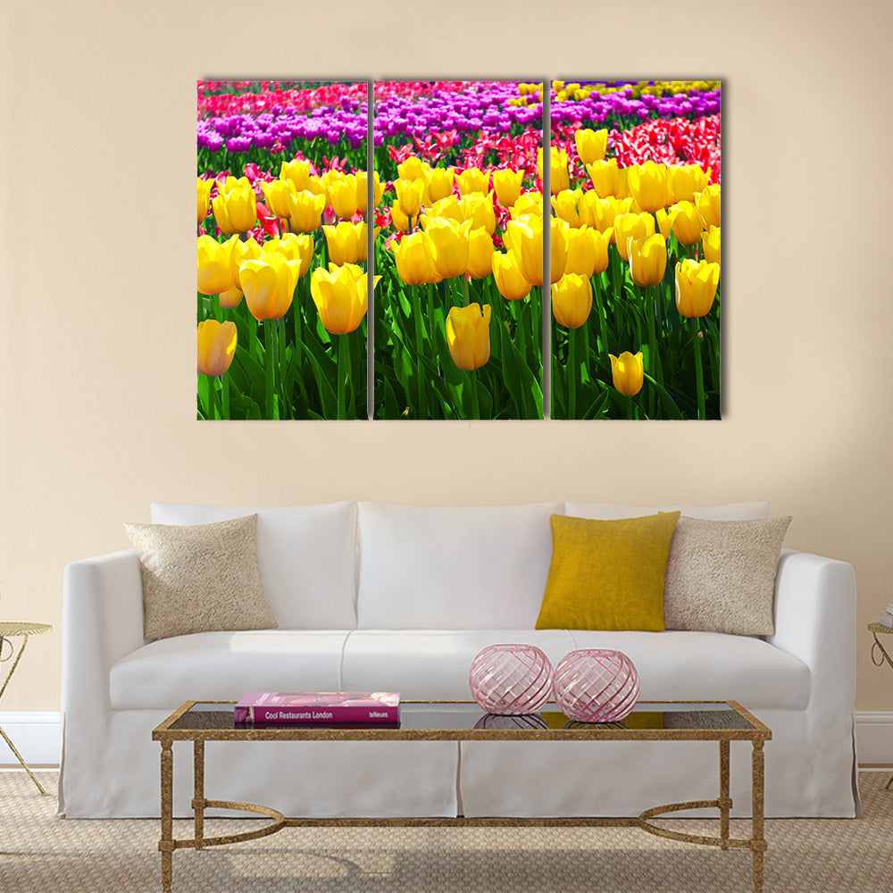 Tulips field yellow flower background Multi Panel Canvas Wall Art
