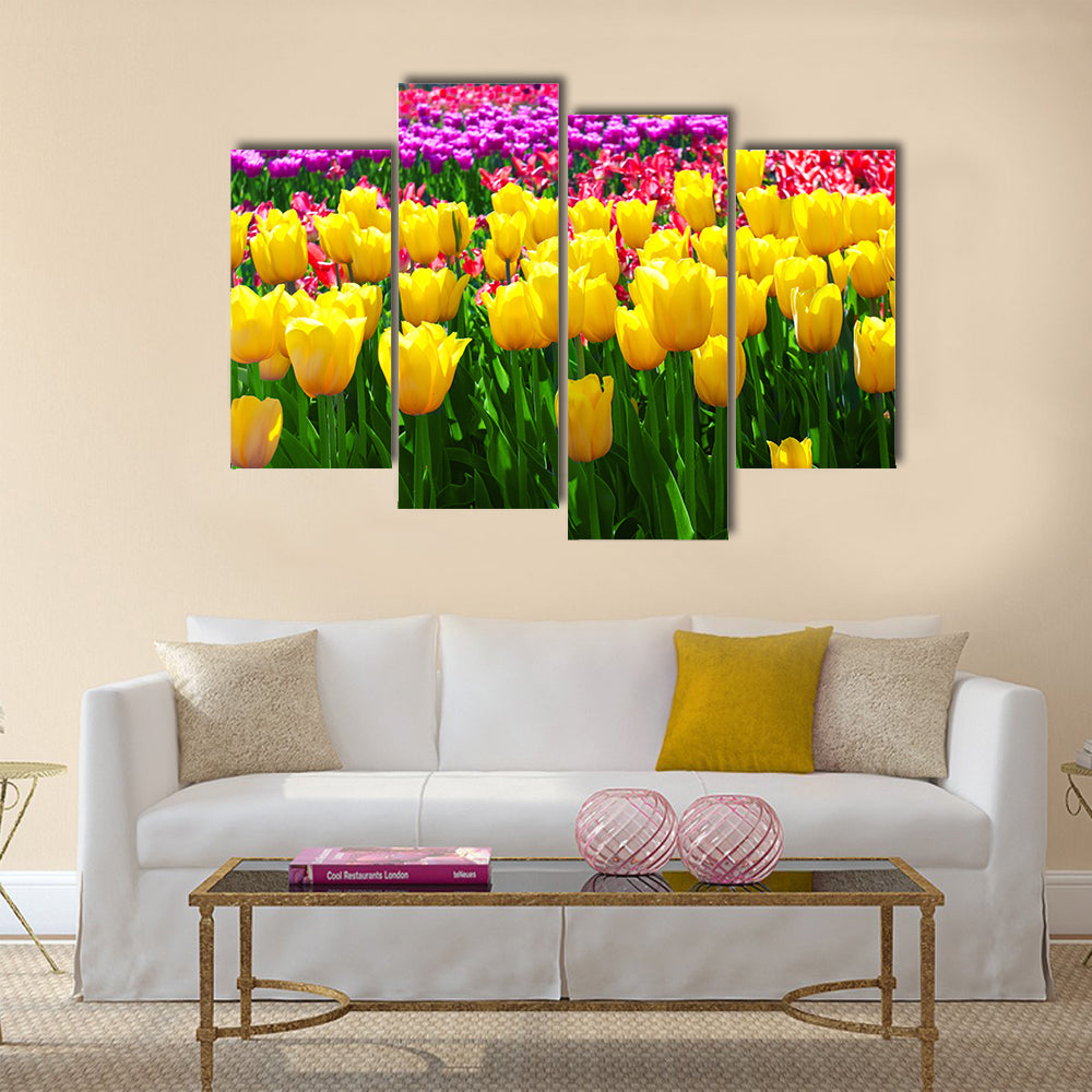 Tulips field yellow flower background Multi Panel Canvas Wall Art