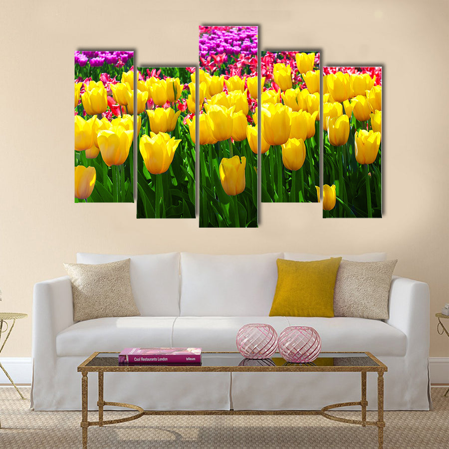 Tulips field yellow flower background Multi Panel Canvas Wall Art