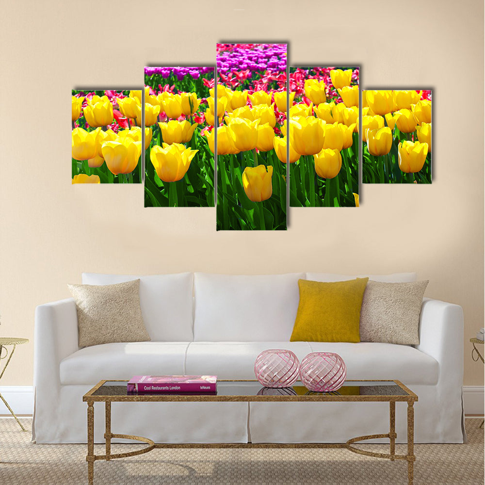 Tulips field yellow flower background Multi Panel Canvas Wall Art