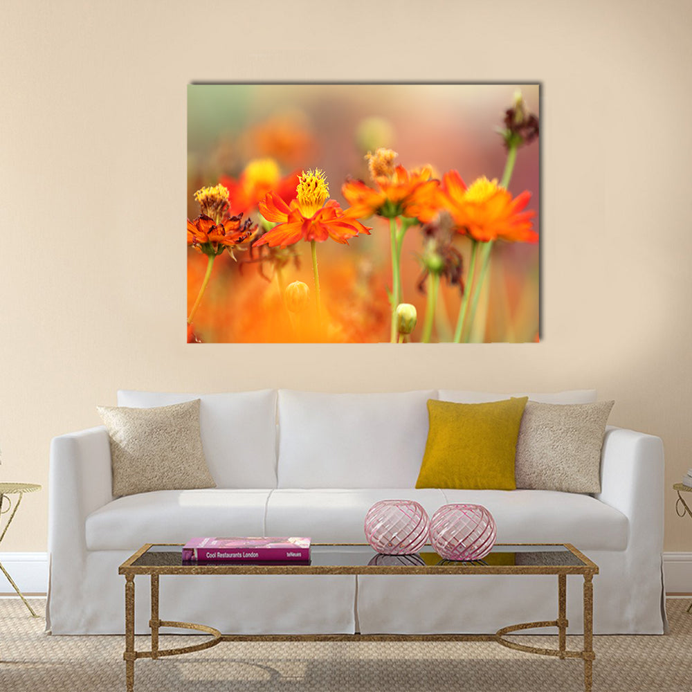 Orange cosmos flower Multi Panel Canvas Wall Art