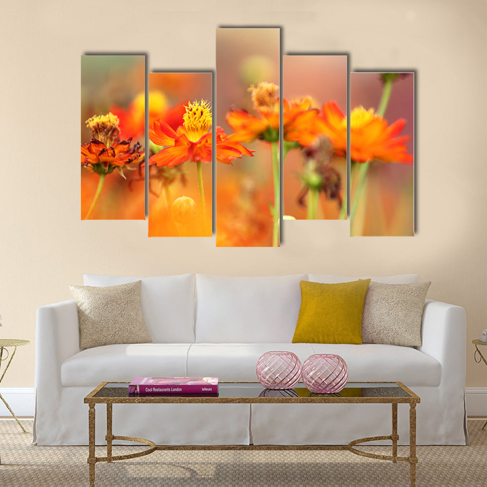 Orange cosmos flower Multi Panel Canvas Wall Art