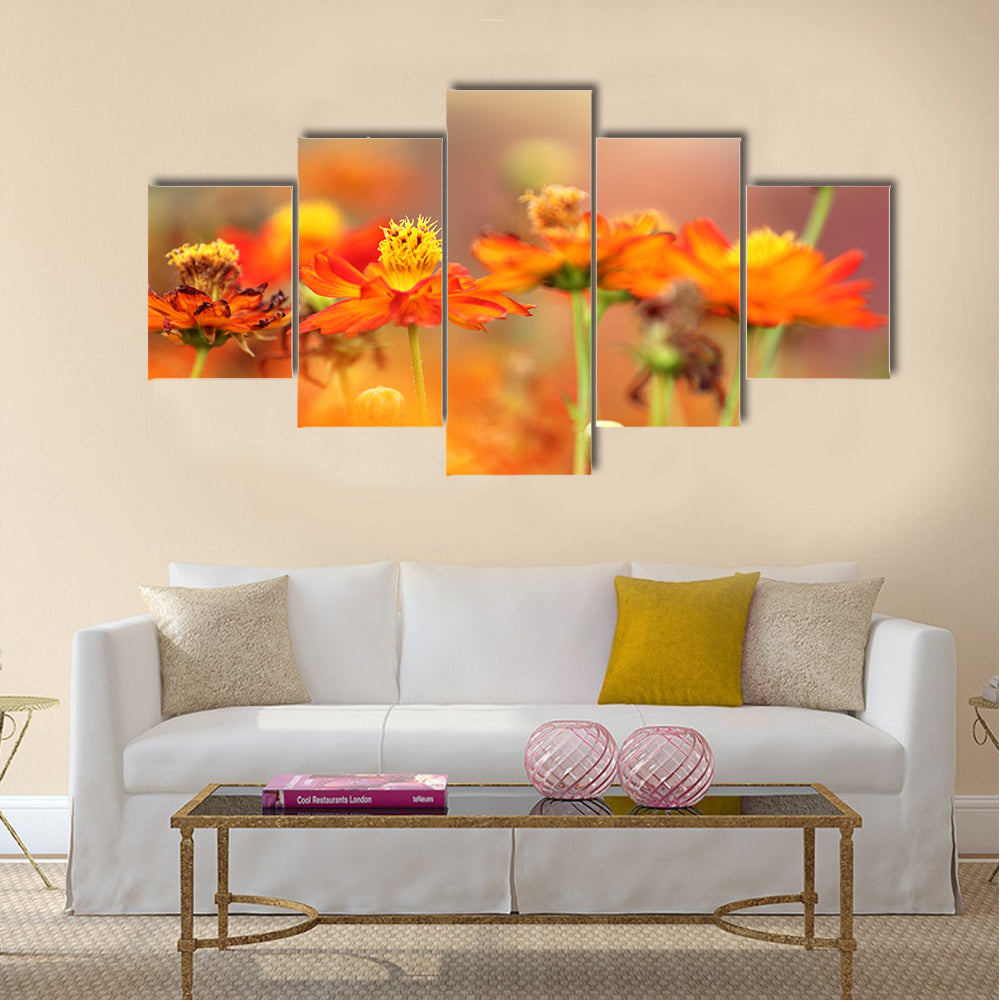 Orange cosmos flower Multi Panel Canvas Wall Art