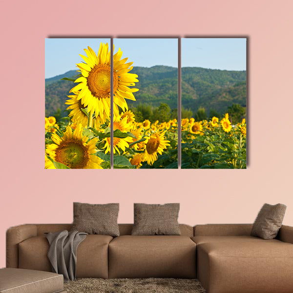 Sunflower Field on blue sky multi panel canvas wall art