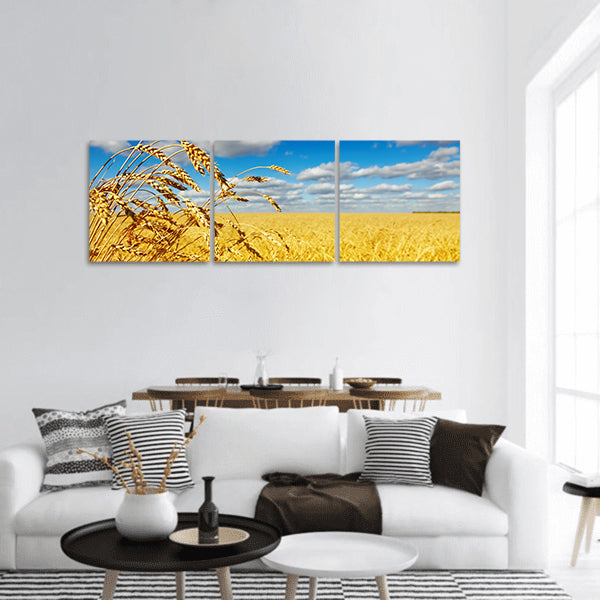 Ripe wheat ears over wheat field panoramic canvas wall art
