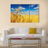 Ripe wheat ears over wheat field Multi panel canvas wall art