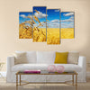 Ripe wheat ears over wheat field Multi panel canvas wall art