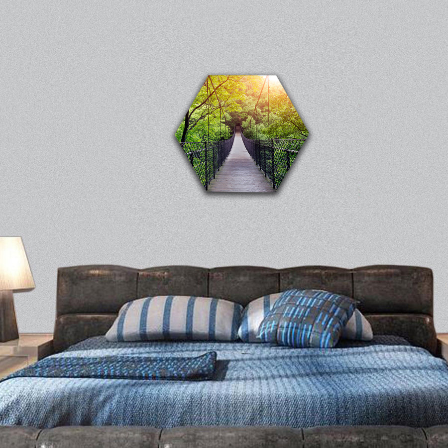 Bridge to the jungle, guilin, china hexagonal canvas wall art