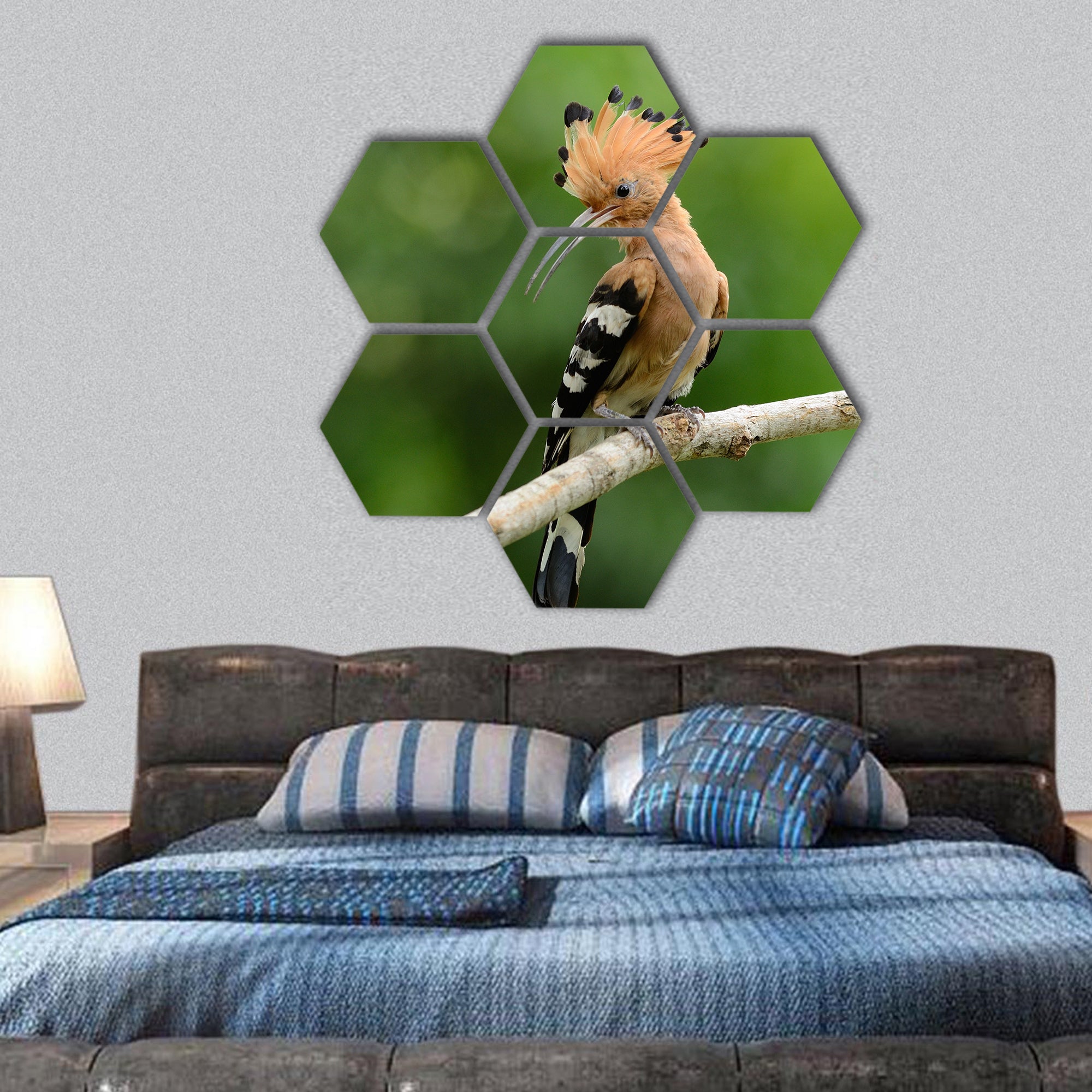 beautiful Eurasian hoopoe Upupa epops possing on branch hexagonal canvas wall art