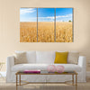 Ripe wheat field and blue sky with clouds Multi panel canvas wall art