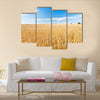 Ripe wheat field and blue sky with clouds Multi panel canvas wall art