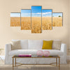 Ripe wheat field and blue sky with clouds Multi panel canvas wall art