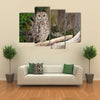 Spotted Eagle-Owl Bubo africanus Multi Panel Canvas Wall Art