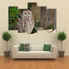 Spotted Eagle-Owl Bubo africanus Multi Panel Canvas Wall Art