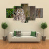 Spotted Eagle-Owl Bubo africanus Multi Panel Canvas Wall Art