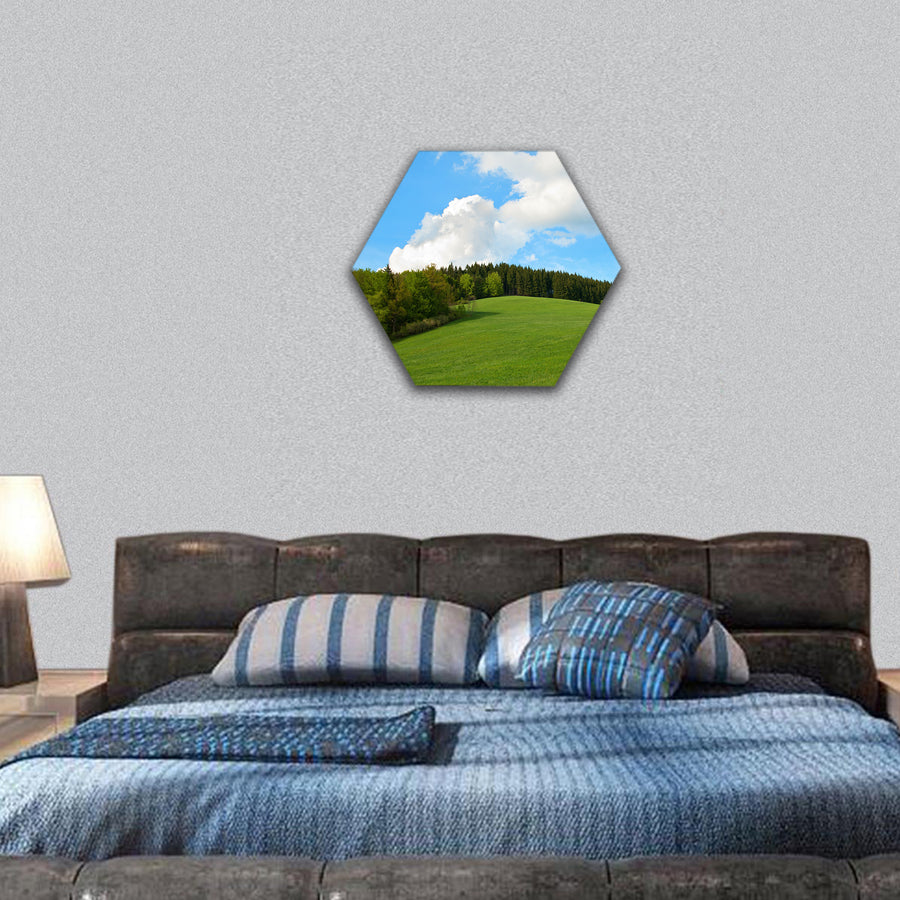 Green Field and forest Hill with blue sky hexagonal canvas wall art