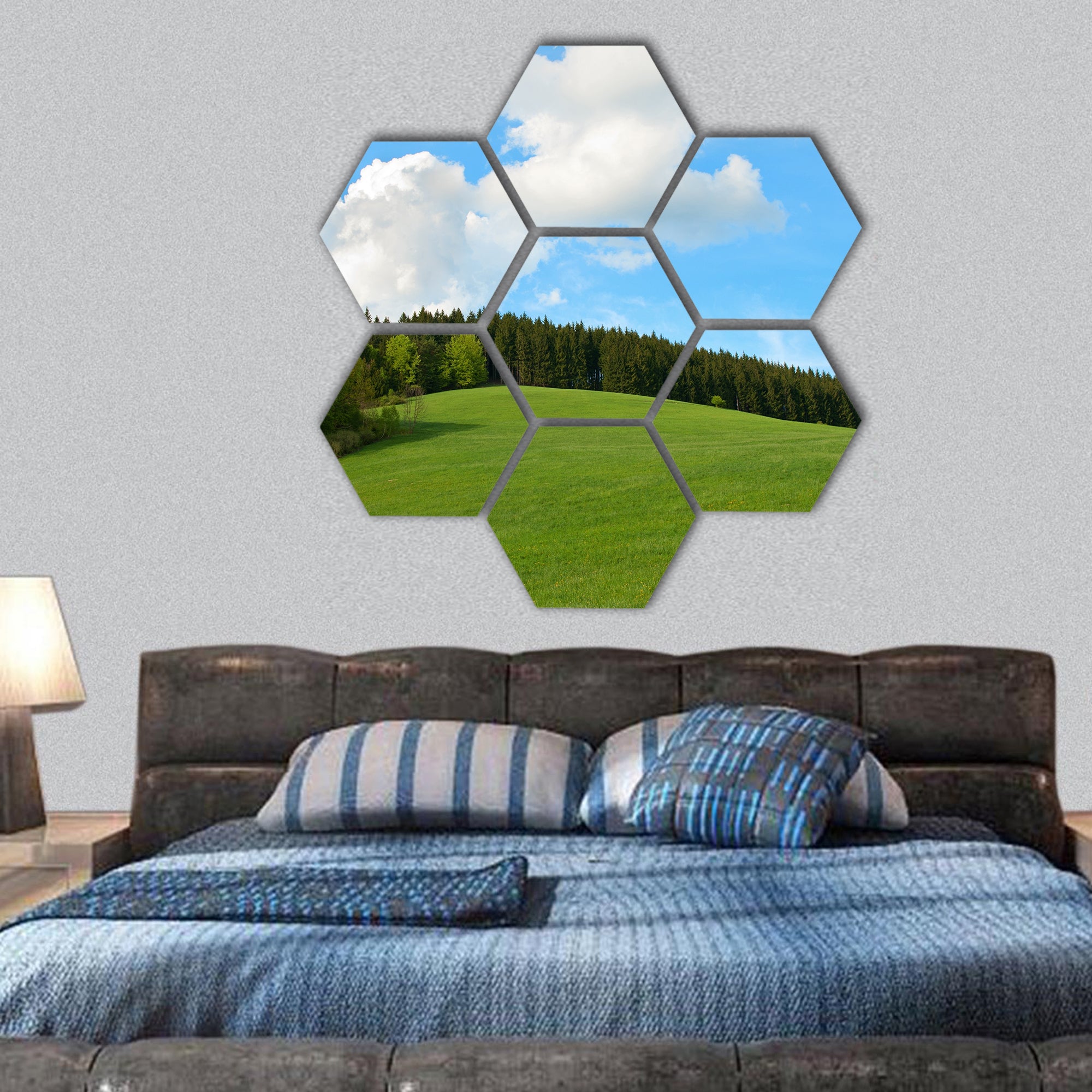 Green Field and forest Hill with blue sky hexagonal canvas wall art
