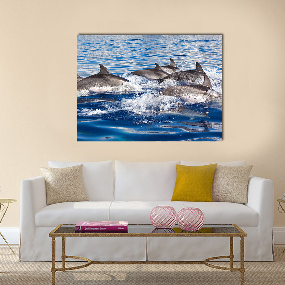 Group of dolphins at the Azores Multi Panel Canvas Wall Art